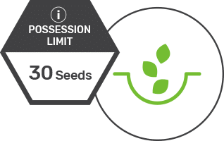 know-seeds