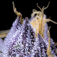 pre-flowering