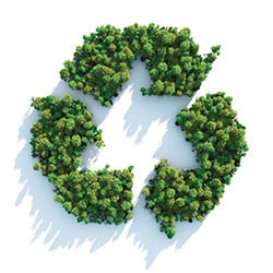 recycle