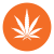 Sativa