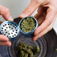 step1-rollwithit step1-rollwithit