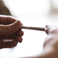step5-rollwithit step5-rollwithit