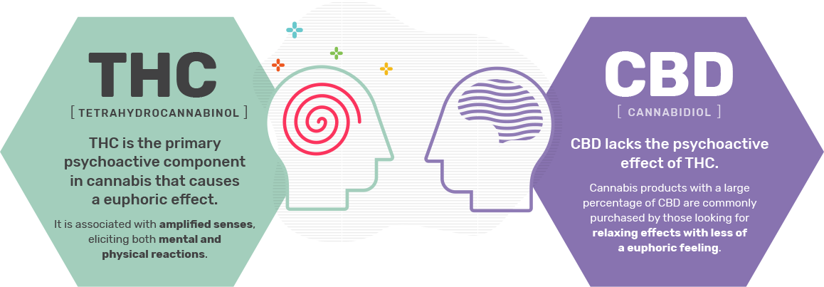 What are Cannabinoids?