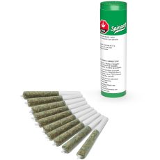 Alternative view of Spinach Green Monster Breath