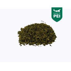 FOG Cannabis Purple Diesel