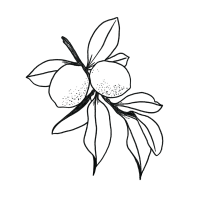 Limonene-Icon