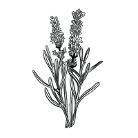 Linalool-Icon