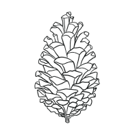 Terpinolene-Icon