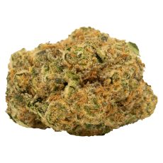 Alternative view of Tweed Gorilla Berry