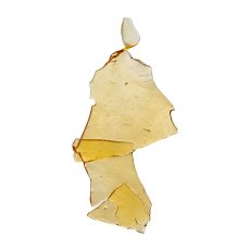 The Loud Plug Triangle Kush Shatter