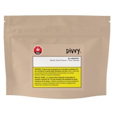 Alternative view of Divvy Blueberry