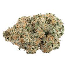 Big Bag OBuds Purple Cherry Punch Indica