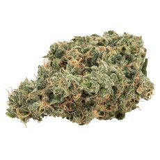 Big Bag OBuds Ultra Jean G Sativa