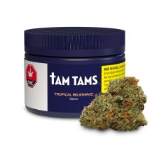 Tam Tams Tropical Milkshake