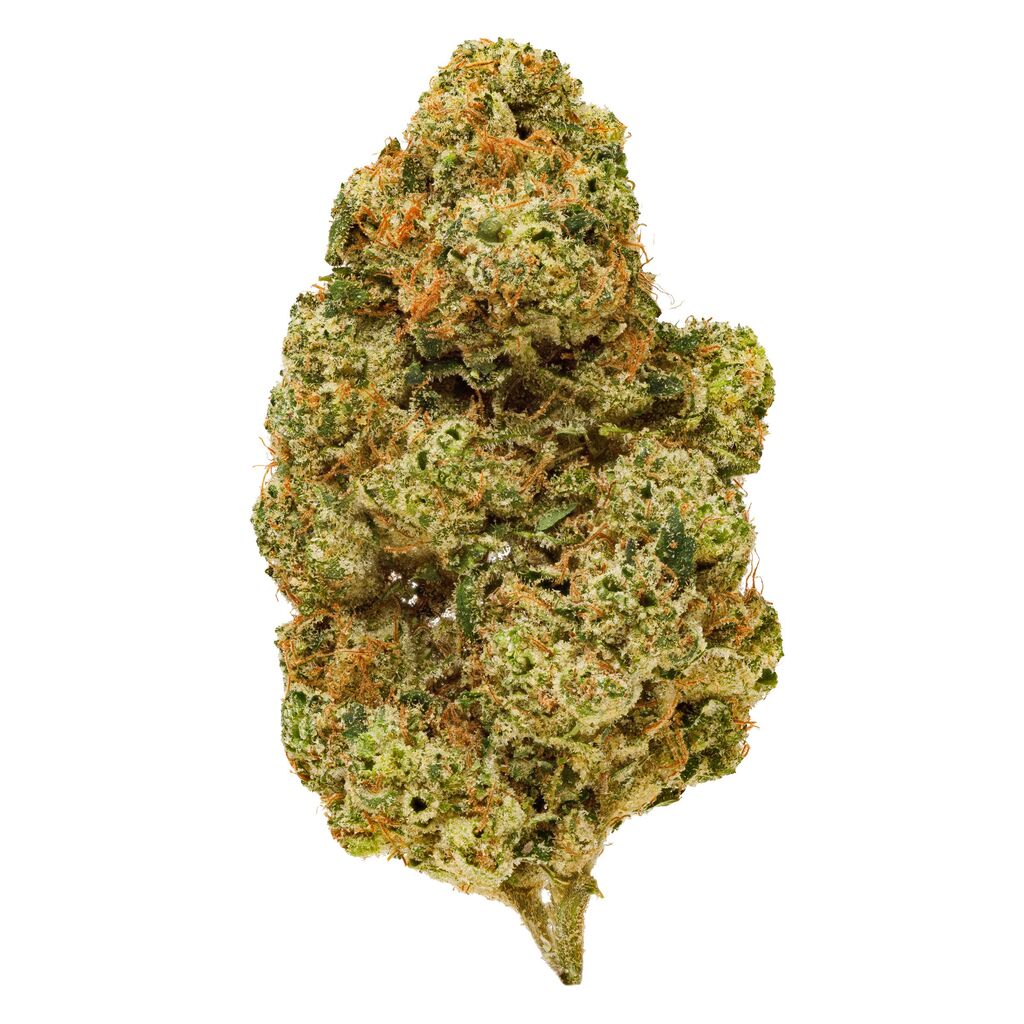 LEP San Rafael 71 - Electric Honeydew