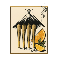 LEP Retro The Diamond Trip Infused Pre-Rolls