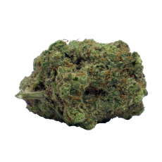 Tweed Blood Orange Kush