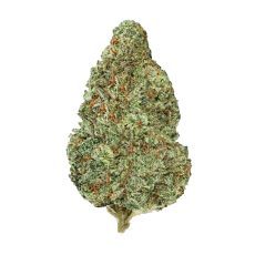 Back Forty Chemzilla