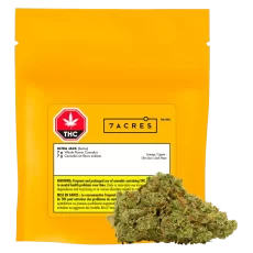 7ACRES Ultra  Jack