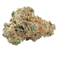 Big Bag OBuds GMO Kush