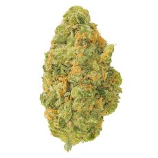 San Raf Neon Sour