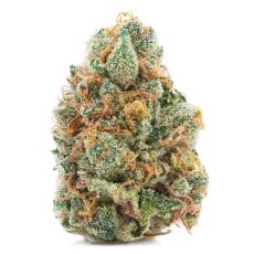 Spinach GMO Cookies