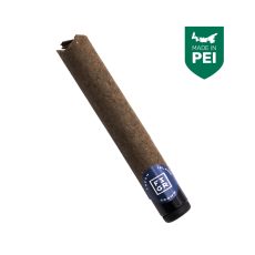 FIGR Jungle Fumes Premium Glass Tip Blunt