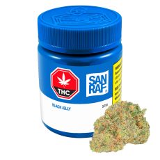 LEP San Raf Black Jelly