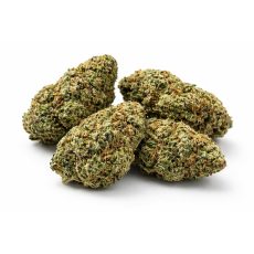 Fresh & Frosty Frozen Lemon Jack