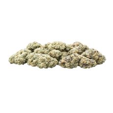 Fresh & Frosty Gelato Small