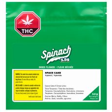 Alternative view of Spinach Space Cake