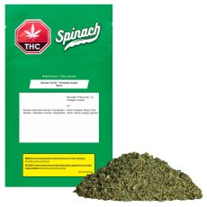 Spinach Grindz Pineapple Gelato