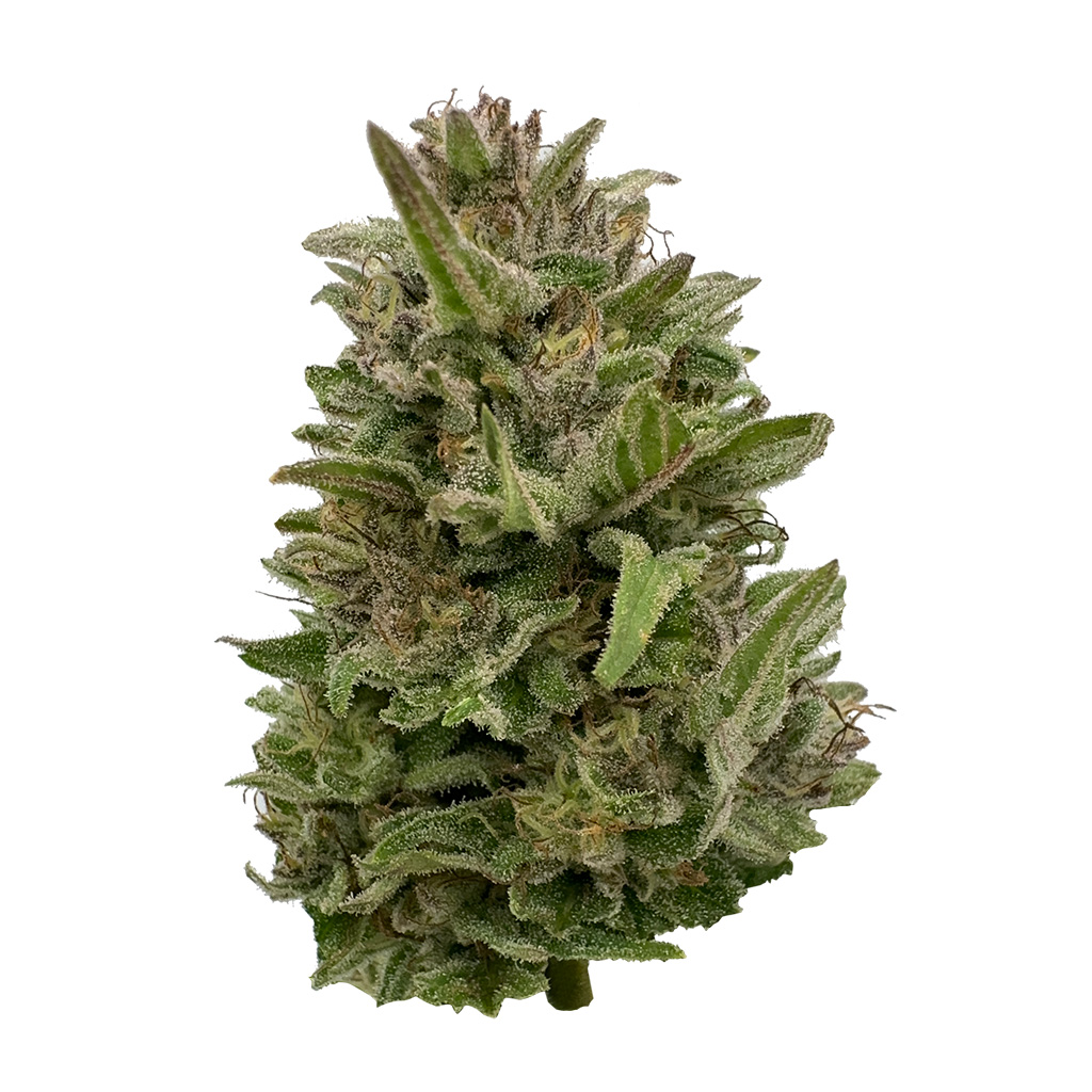 Deelish Pretty Chill Indica