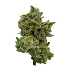 Deelish Pretty Sweet Sativa