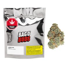 BBOB Blueberry Dream