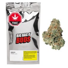 BBOB Gasberry Kush