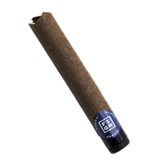 FIGR Chatty Kathy Premium Glass Tip Blunt