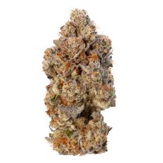 EastCann Lemon Cherry Gelato