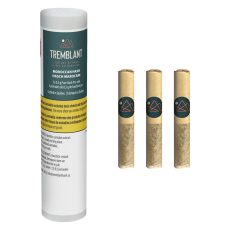 LEP Tremblant Pure Moroccan Hash Pre Roll