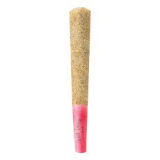 LEP The Loud Plug Drippyz Dragonfruit Rntz